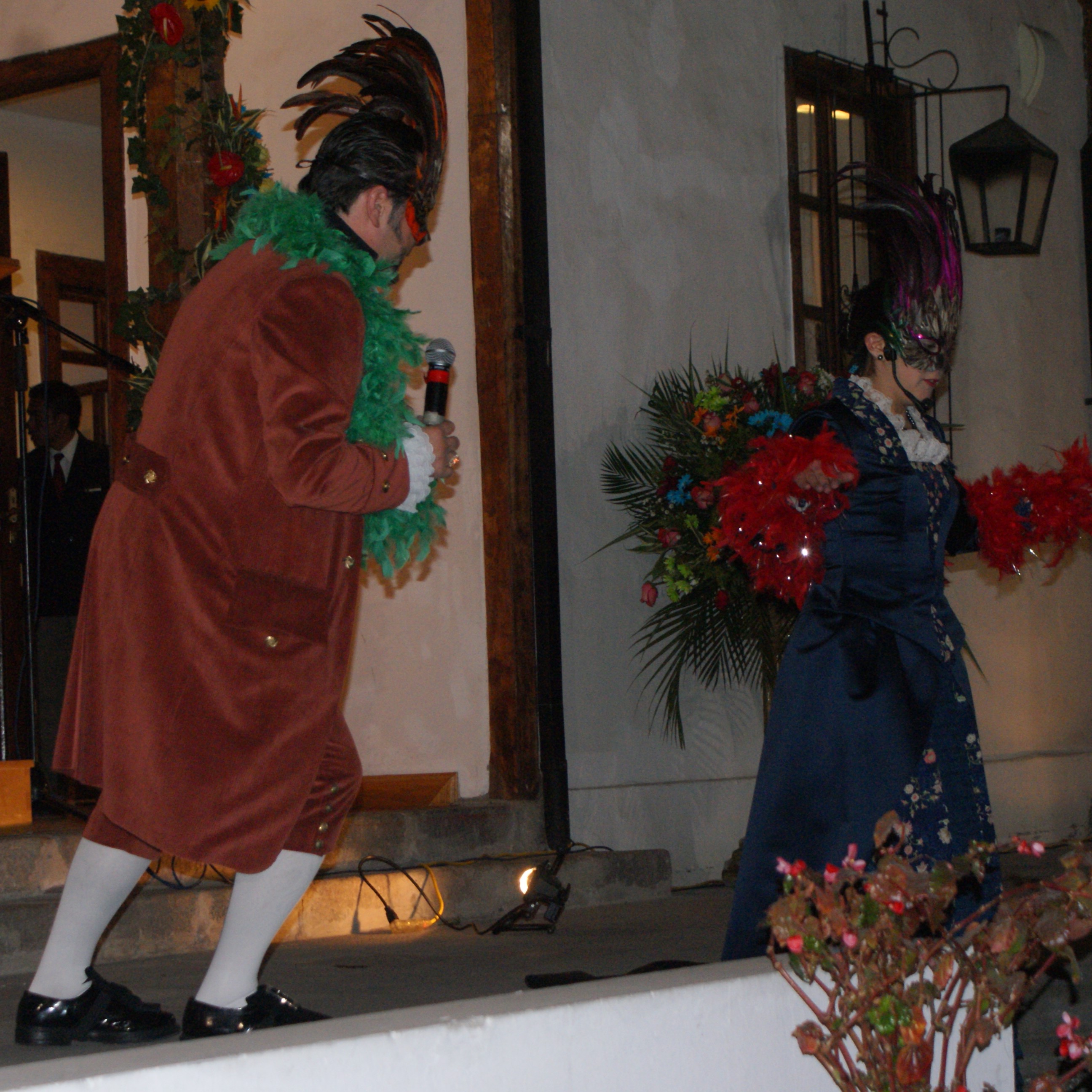 Cena y show de ópera 10